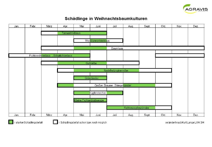 Weihnachtsbäume Schädlinge